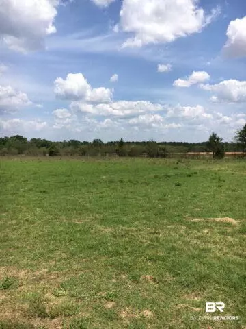 2075 Brownsdale Loop Rd, Jay, FL 32565 photo 1
