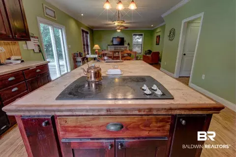 9313 Hammock Rd, Elberta, AL 36530 photo 14