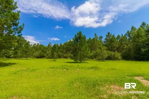 29265 Leiterman Rd, Elberta, AL 36530 photo 26