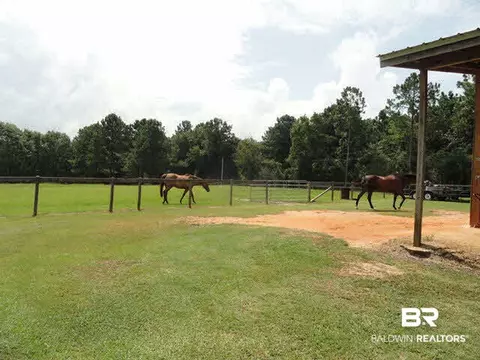 35640 N Spring Rd, Stapleton, AL 36578 photo 14