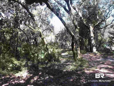 9199 Bay View Dr, Lillian, AL 36549 photo 22