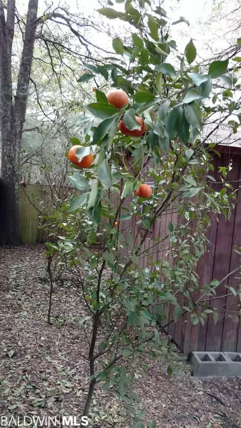 7958 Hilltop St, Mobile, AL 36619 photo 23