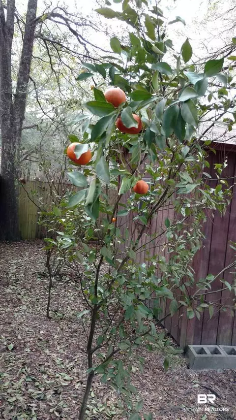 7958 Hilltop St, Mobile, AL 36619 photo 23