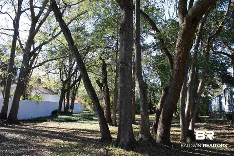 260 S Ann St, Mobile, AL 36604 photo 21