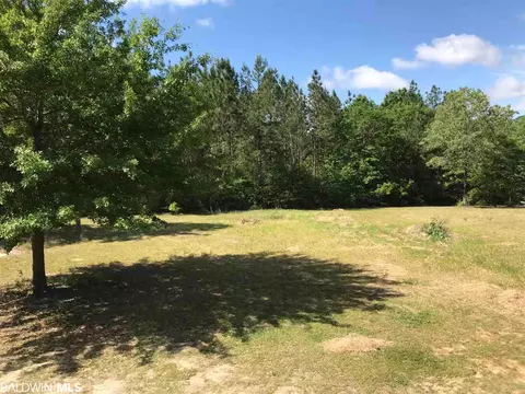 11910 Roberts Rd, Chunchula, AL 36521 photo 10