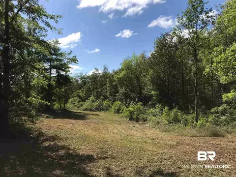 11910 Roberts Rd, Chunchula, AL 36521 photo 11