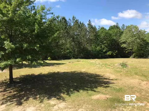 11910 Roberts Rd, Chunchula, AL 36521 photo 10