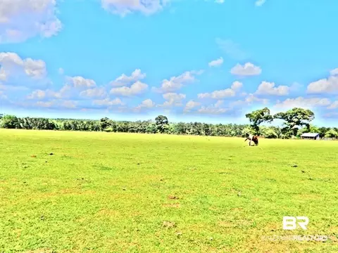 4032 Nowling Rd, Jay, FL 32565 photo 25