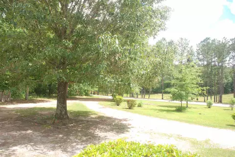 280 County Road 73, Repton, AL 36475 photo 24