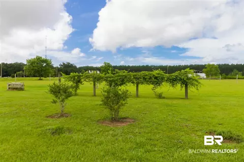 26178 Frank Rd, Elberta, AL 36530 photo 14