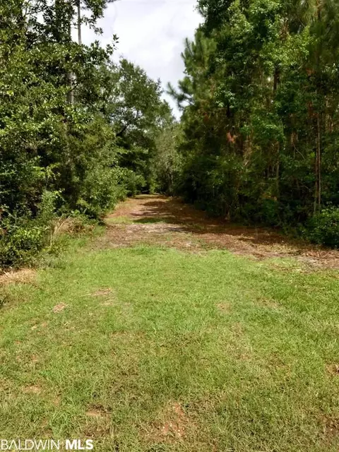 9051 Hammock Rd, Elberta, AL 36530 photo 30