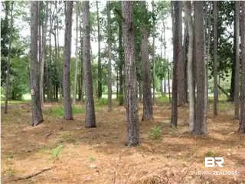 3905 E St Andriveews Dr, Mobile, AL 36693 photo 1