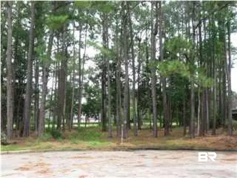 3905 E St Andriveews Dr, Mobile, AL 36693 photo 3