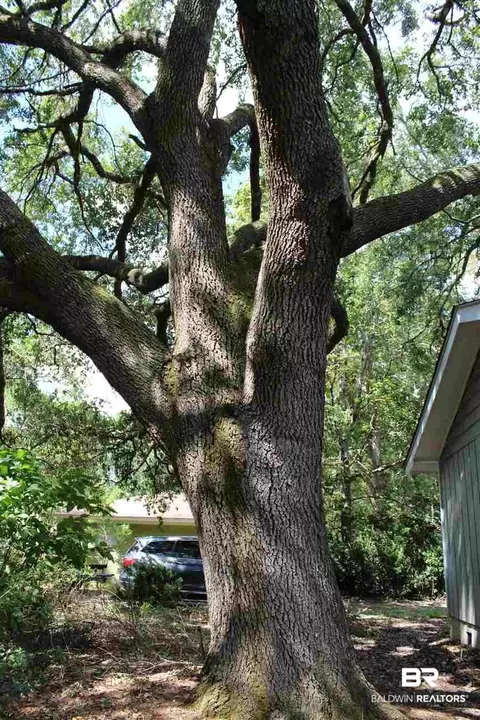9198 Hammock Rd, Elberta, AL 36530 photo 4