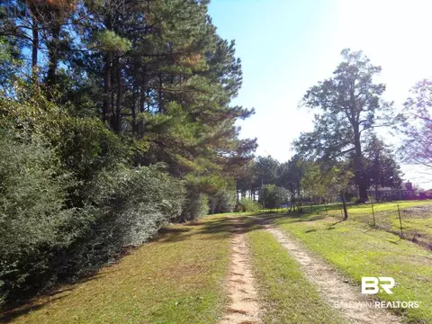 7950 Highway 97, Walnut Hill, FL 32568 photo 6