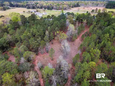 12450 Bromley Rd, Stapleton, AL 36578 photo 45