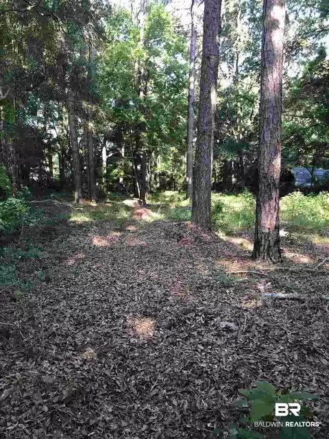 1318 W Forest Ridge Rd, Mobile, AL 36618 photo 11