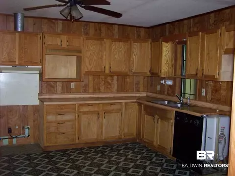 4251 Britton Lige Rd, Millry, AL 36558 photo 4