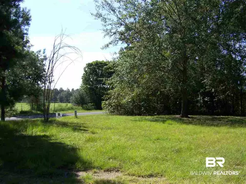 4251 Britton Lige Rd, Millry, AL 36558 photo 21