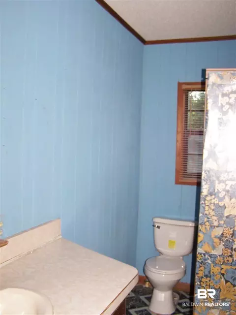 4251 Britton Lige Rd, Millry, AL 36558 photo 13