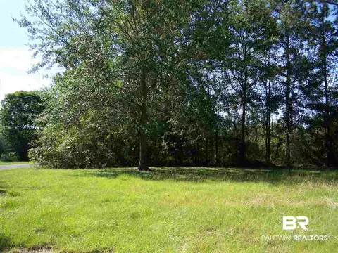 4251 Britton Lige Rd, Millry, AL 36558 photo 20