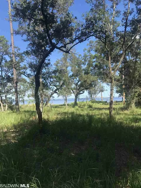 7746 Spring Branch Rd, Elberta, AL 36530 photo 3