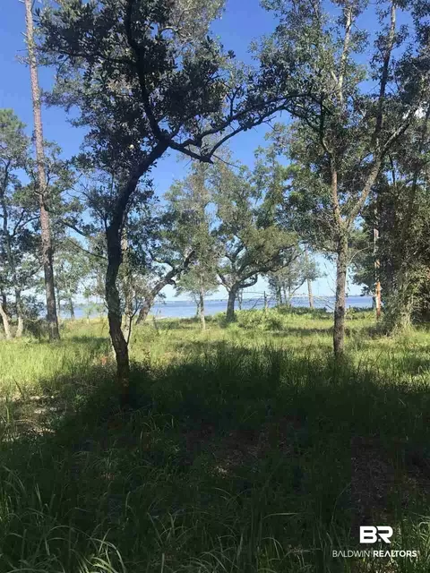 7746 Spring Branch Rd, Elberta, AL 36530 photo 3