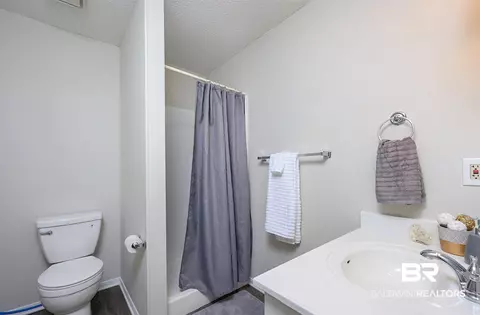 17252 Bemis Ln, Elberta, AL 36530 photo 18