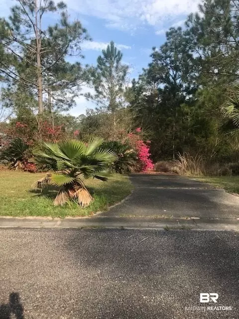 25009 Pompano Dr, Elberta, AL 36530 photo 2