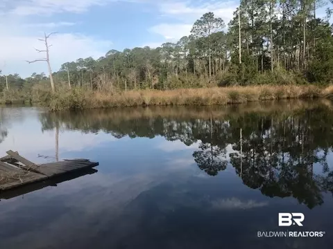 25009 Pompano Dr, Elberta, AL 36530 photo 6