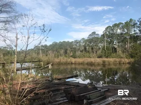 25009 Pompano Dr, Elberta, AL 36530 photo 5