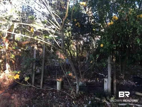 8511 Bay Harbor Rd, Elberta, AL 36530 photo 7