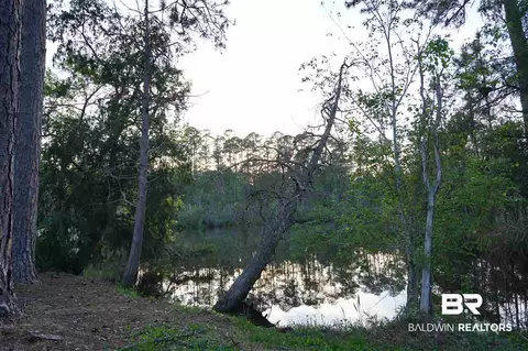 10051 Boynton Rd, Elberta, AL 36530 photo 33