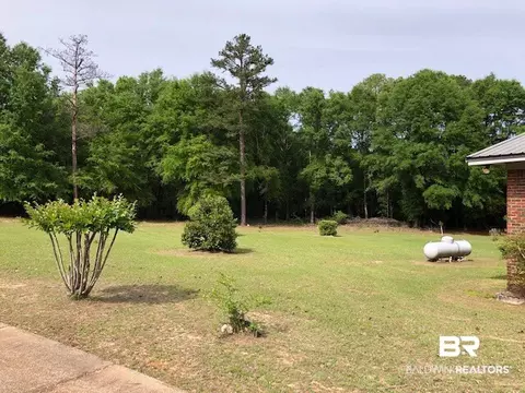 1598 Longleaf Rd, Peterman, AL 36471 photo 10