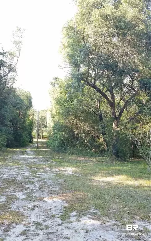 8600 Troy Dr, Perdido Beach, AL 36530 photo 18