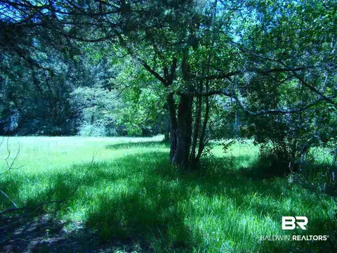 0 Riverside Dr, Mobile, AL 36605 photo 1