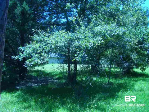 0 Riverside Dr, Mobile, AL 36605 photo 2