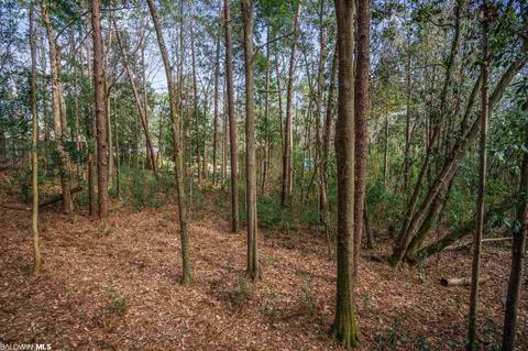 4371 Hoffman Rd, Mobile, AL 36619 photo 31