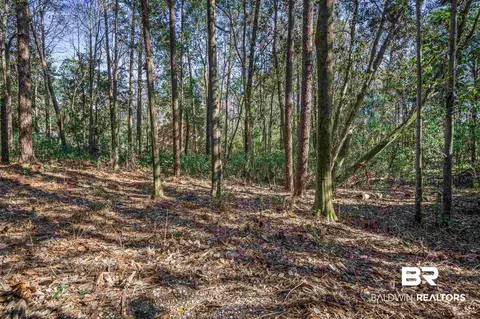 4371 Hoffman Rd, Mobile, AL 36619 photo 29