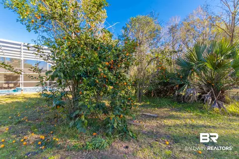 17151 Devine Rd, Loxley, AL 36551 photo 28