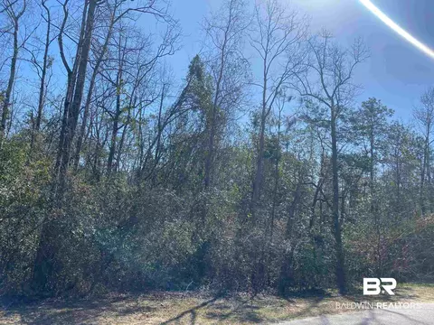 Timber Ridge Drive, Loxley, AL 36551