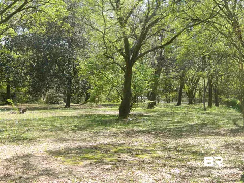 6030 Cooper Dr, Mobile, AL 36693 photo 31