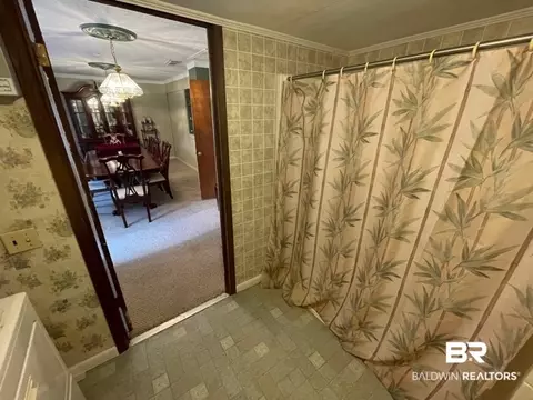35510 County Road 39, Stapleton, AL 36578 photo 49