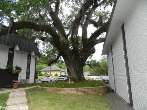3655 Old Shell Rd #125, Mobile, AL 36608 photo 19