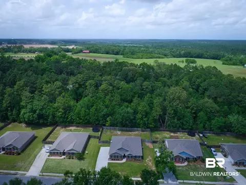 12099 Cressida Loop, Daphne, AL 36526 photo 46