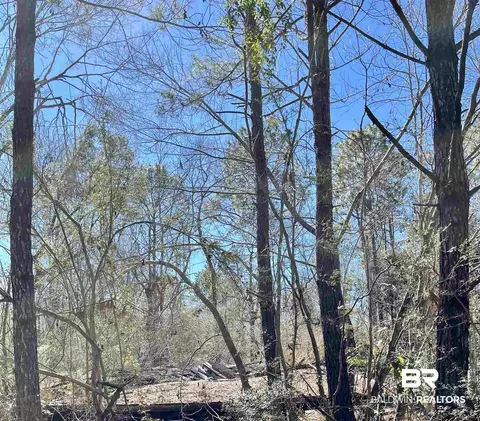 36223 St Hwy 59, Stapleton, AL 36578 photo 2