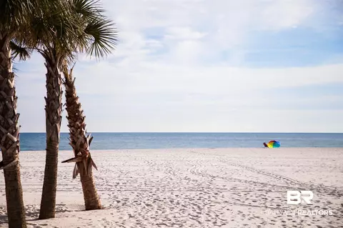 3200 Loop Rd, Orange Beach, AL 36561 photo 7