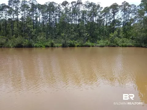 10097 Boynton Rd, Elberta, AL 36530 photo 48
