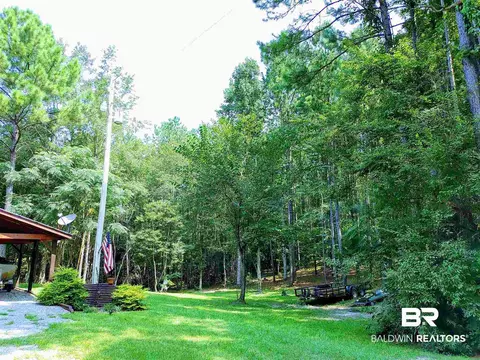 1707 County Road 34, Millry, AL 36558 photo 44