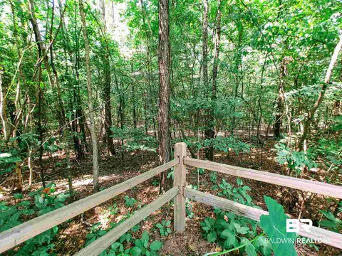 1707 County Road 34, Millry, AL 36558 photo 45